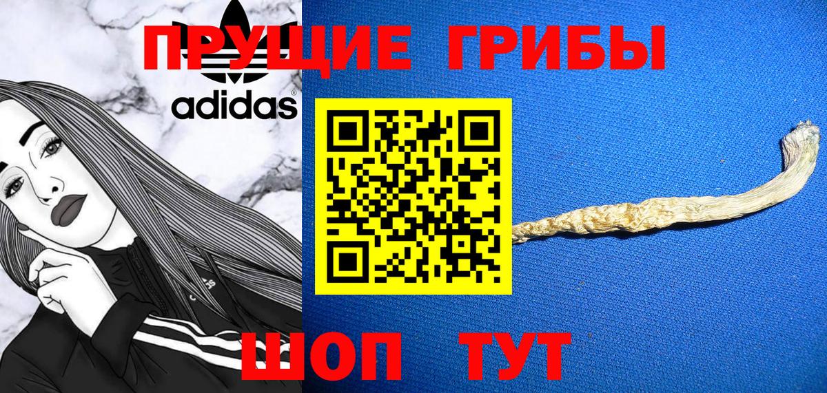 Галлюциногенные грибы Magic Shrooms  Вход с VPN  Электрогорск 